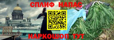крисы Балаково