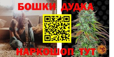 крисы Балаково